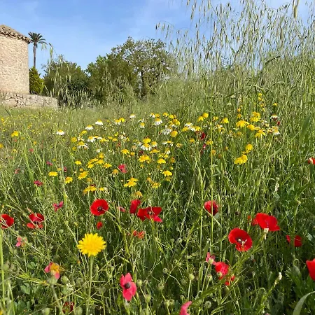 Son Manera 4* Montuiri (Mallorca)