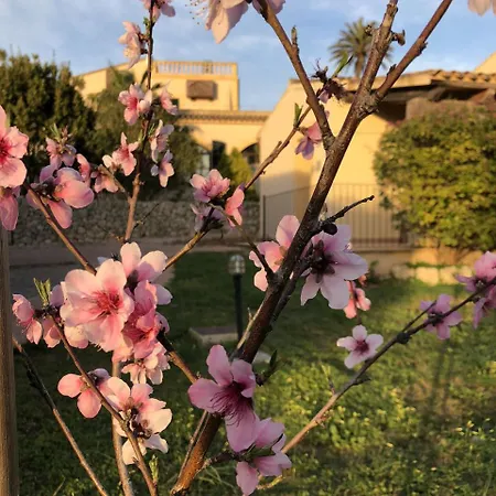 Son Manera Montuiri (Mallorca)